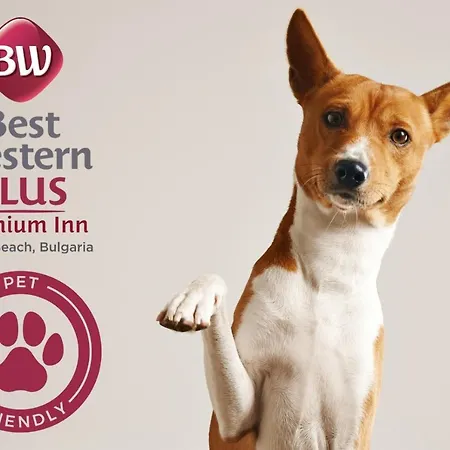 Hotel Western Premium 4*